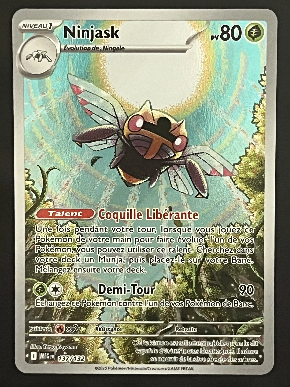Ninjask 137/132