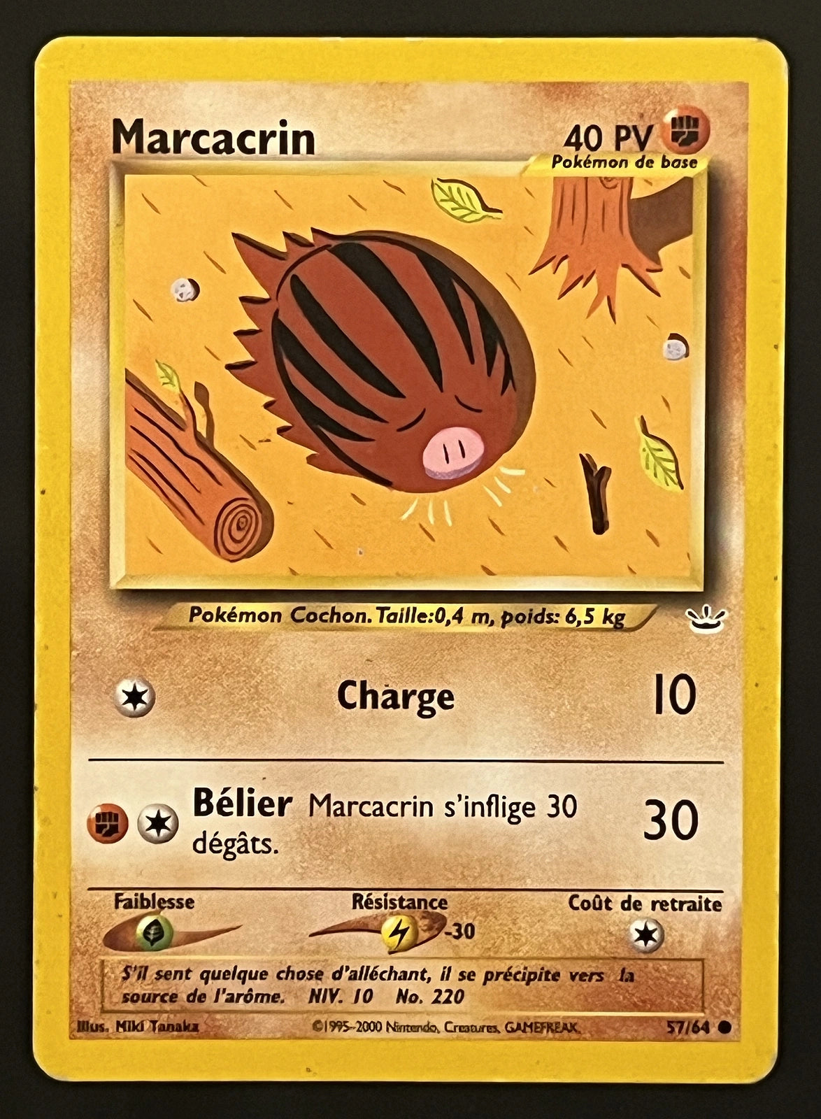 Marcacrin 57/64