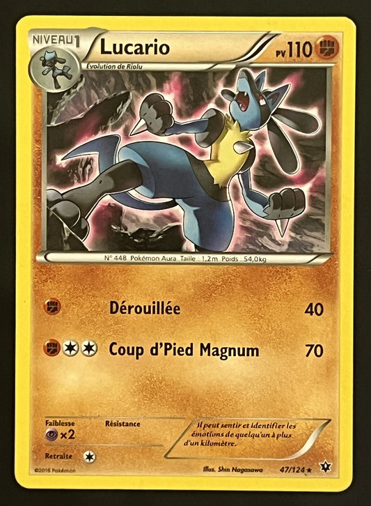 Lucario 47/124