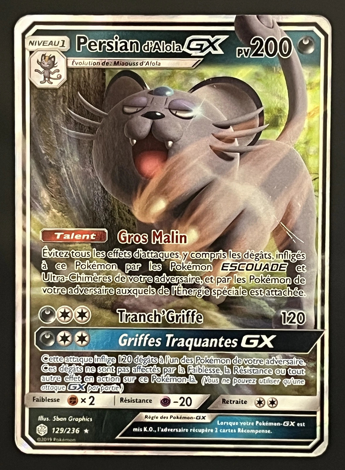 Persian GX 129/236