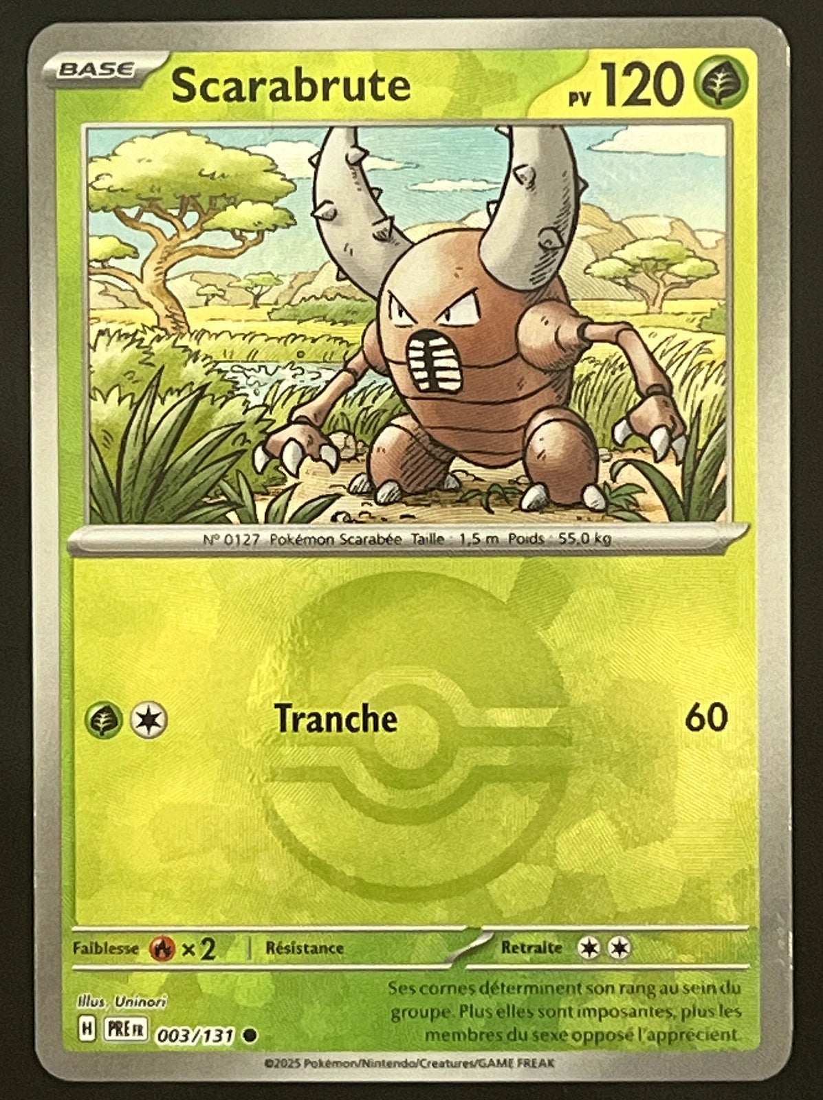 Scarabrute 003/131