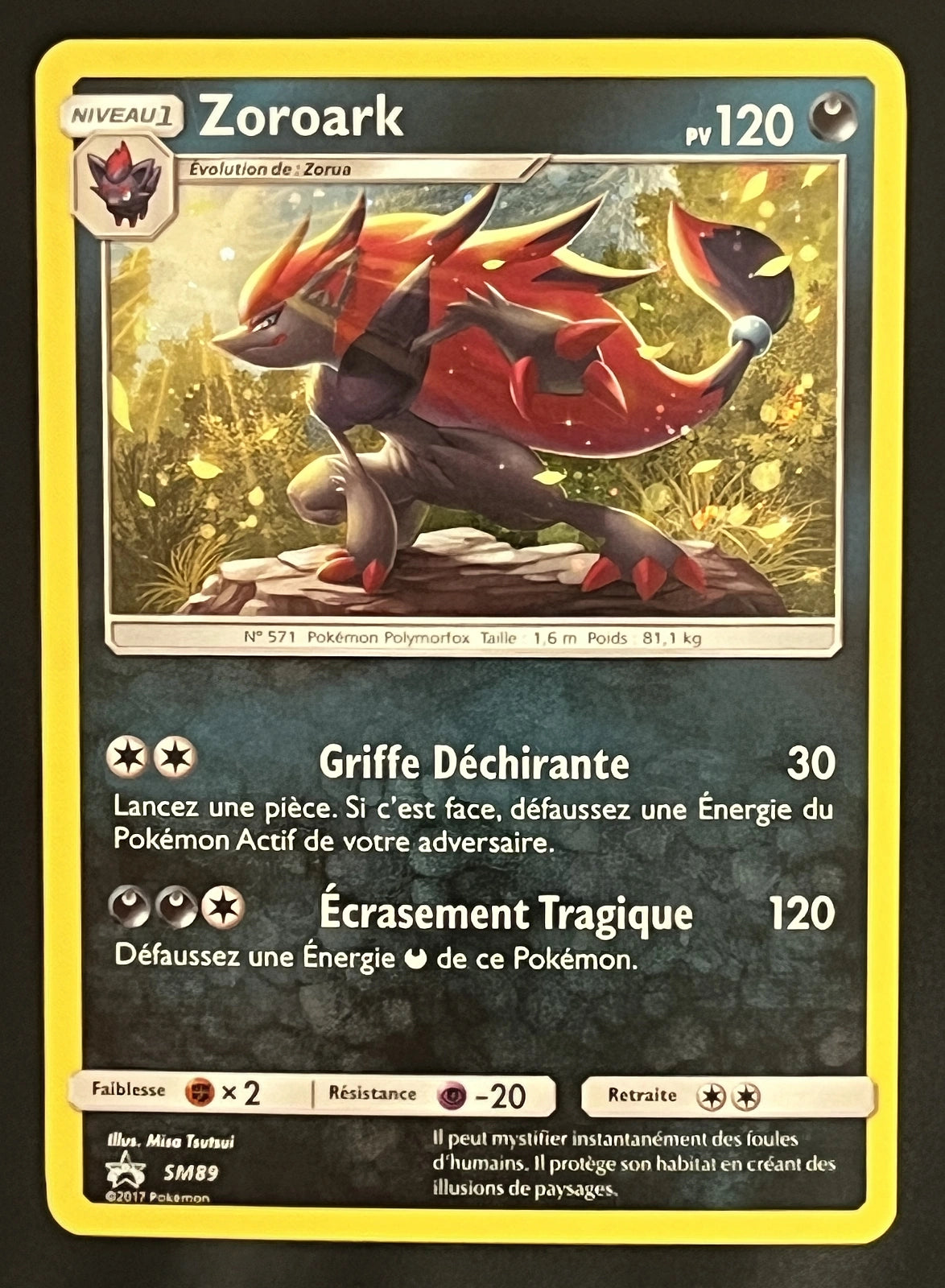 Zoroark SM89