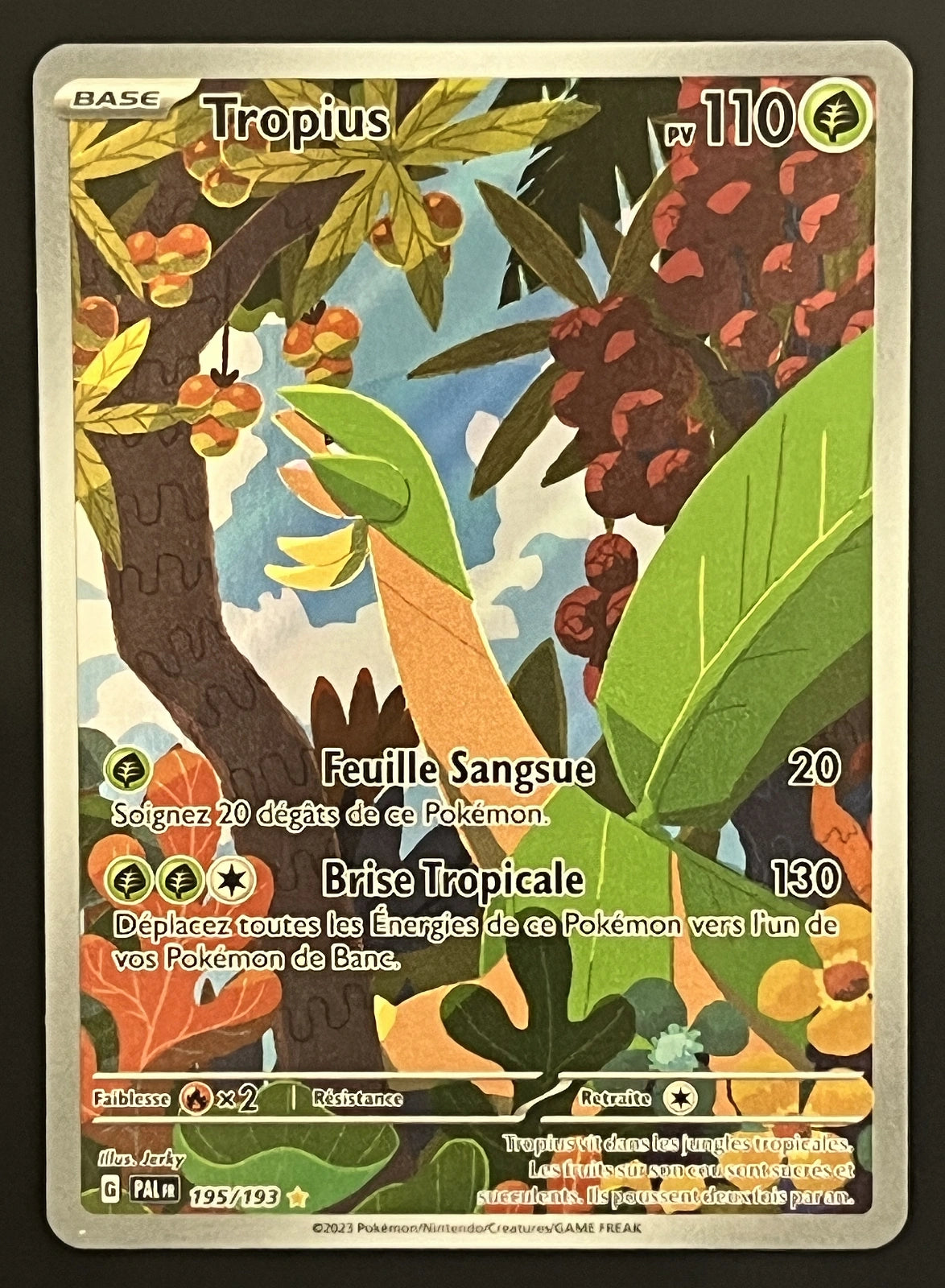 Tropius 195/193
